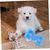 Pet Planet Jouet congelable en forme d'os pour chien (2 pièces)