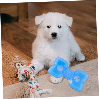 Pet Planet Jouet congelable en forme d'os pour chien (2 pièces)