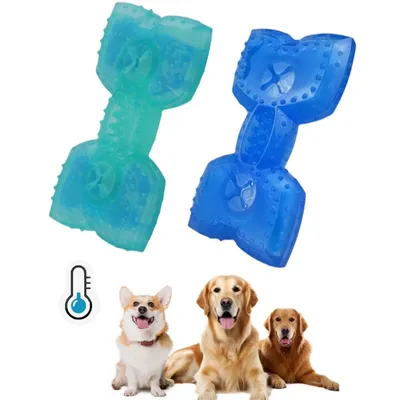 Pet Planet Jouet congelable en forme d'os pour chien (2 pièces)