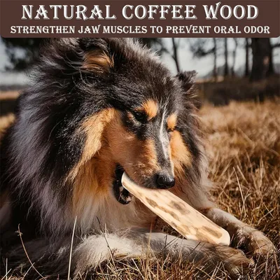 IntiMeg Jouet à mâcher en bois de café pour chiot