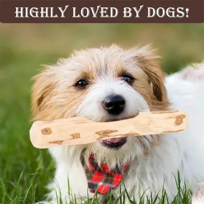 IntiMeg Jouet à mâcher en bois de café pour chiot