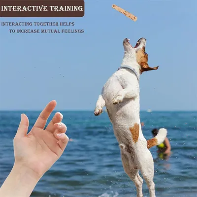 IntiMeg Jouet à mâcher en bois de café pour chiot