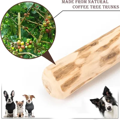 IntiMeg Jouet à mâcher en bois de café pour chiot