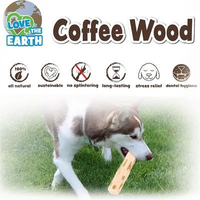 IntiMeg Jouet à mâcher en bois de café pour chiot