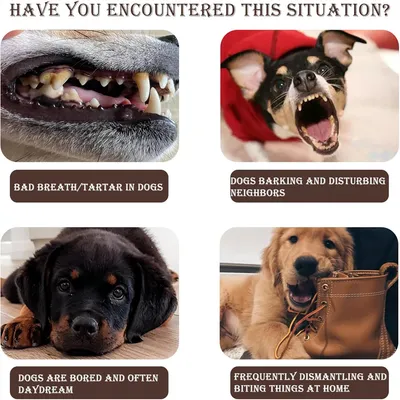 IntiMeg Jouet à mâcher en bois de café pour chiot