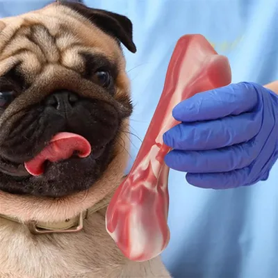 Pet Planet Jouet en forme d'os en nylon pour chien