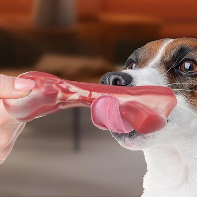 Pet Planet Jouet en forme d'os en nylon pour chien