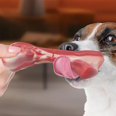 Pet Planet Jouet en forme d'os en nylon pour chien