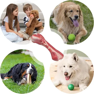 Pet Planet Jouet en forme d'os en nylon pour chien