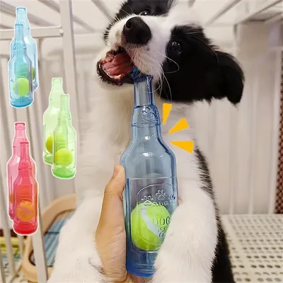 Pet Planet Jouet pour chien bouteille de tennis en TPR