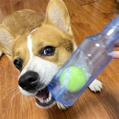 Pet Planet Jouet pour chien bouteille de tennis en TPR