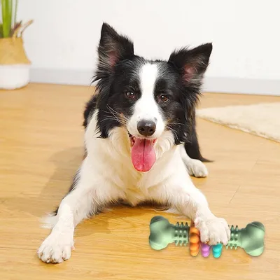 Petopia Jouet à mâcher pour chien