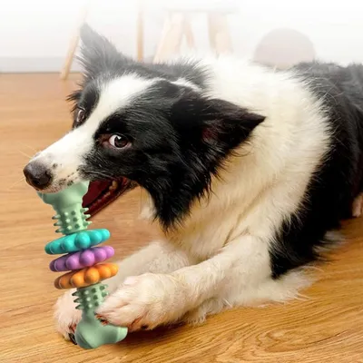 Petopia Jouet à mâcher pour chien