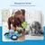 Pet Planet Jouet puzzle distributeur d'aliments pour chien