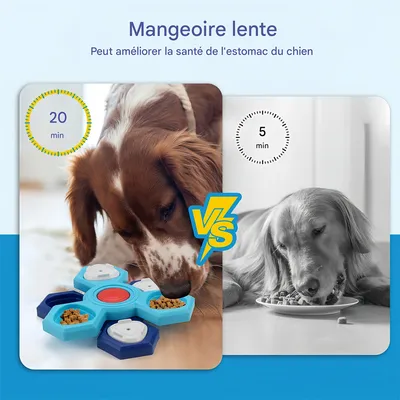 Pet Planet Jouet puzzle distributeur d'aliments pour chien