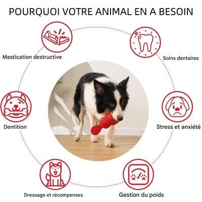 Pet Planet Chiens Jouets Couineurs Robustes