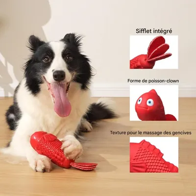 Pet Planet Chiens Jouets Couineurs Robustes