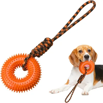 Petopia Jouet couineur pour chien