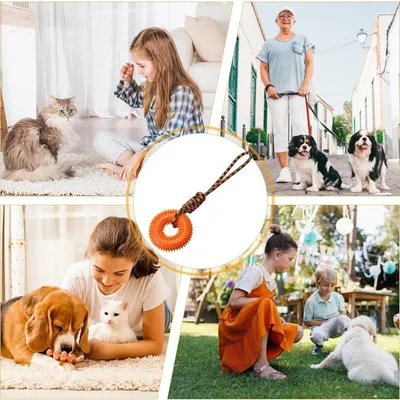 Petopia Jouet couineur pour chien