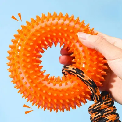 Petopia Jouet couineur pour chien