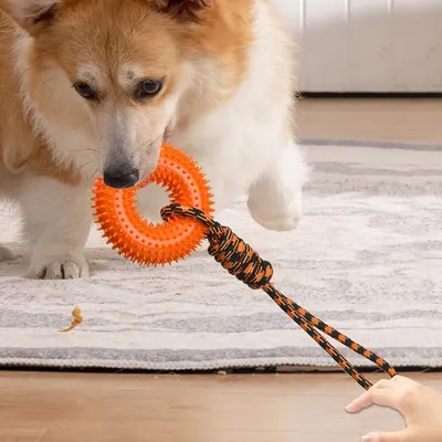 Petopia Jouet couineur pour chien