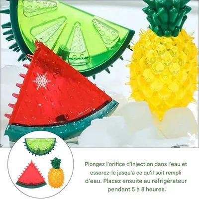 IntiMeg Jouets rafraîchissants pour chiens (3 pièces)