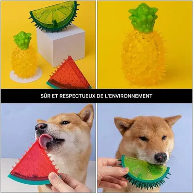 IntiMeg Jouets rafraîchissants pour chiens (3 pièces)