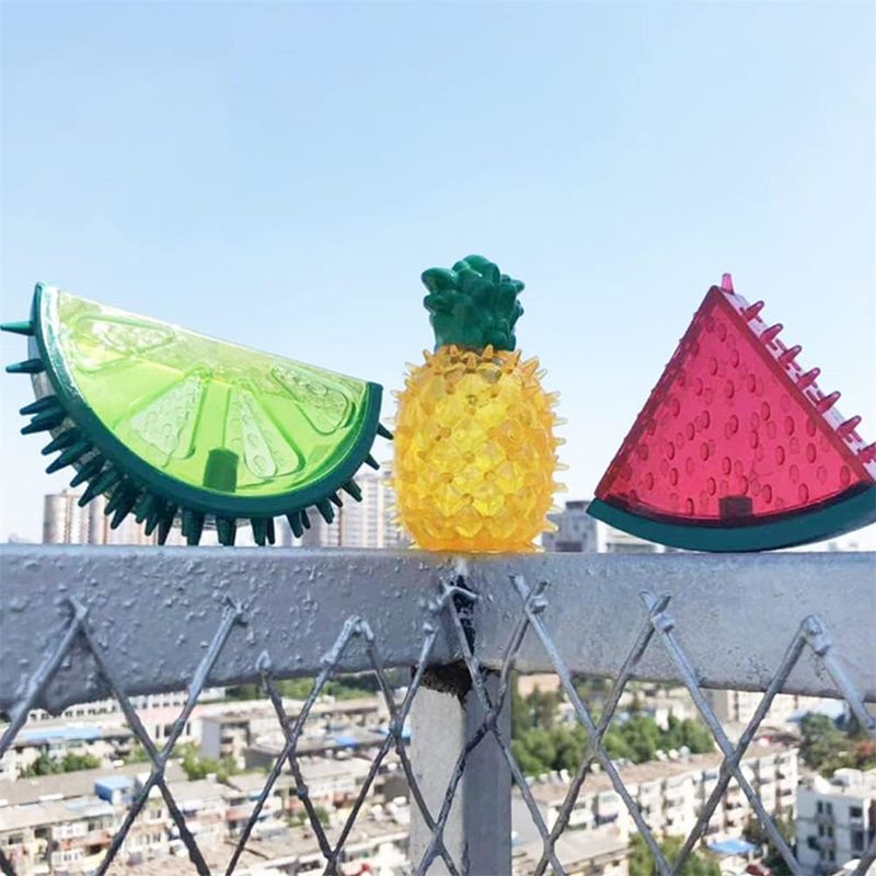 IntiMeg Jouets rafraîchissants pour chiens (3 pièces)