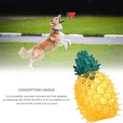 IntiMeg Jouets rafraîchissants pour chiens (3 pièces)