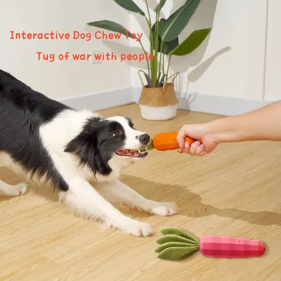 UAMLY Jouets couineurs pour chiens (carotte)