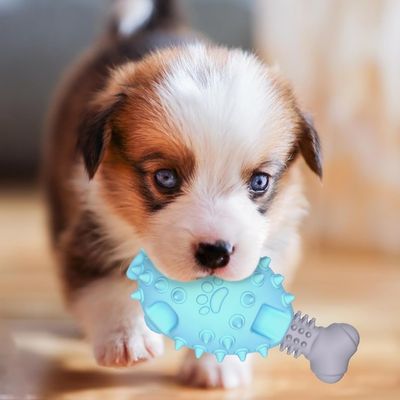 Pet Planet Chiens Poulet Pattes Jouets pour Chiens
