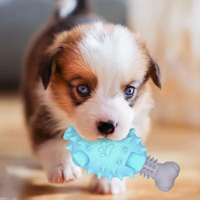 Pet Planet Chiens Poulet Pattes Jouets pour Chiens