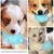 Pet Planet Chiens Poulet Pattes Jouets pour Chiens