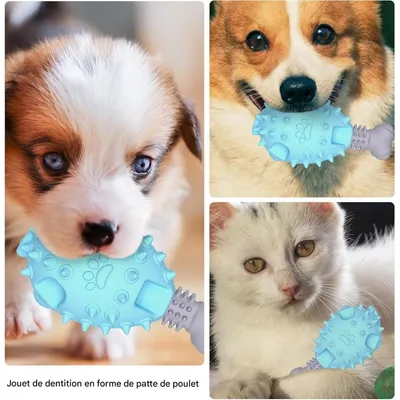 Pet Planet Chiens Poulet Pattes Jouets pour Chiens