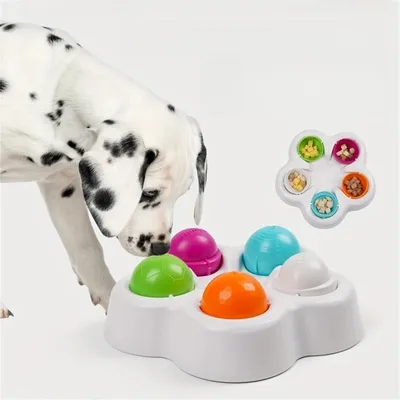 Pet Planet Distributeur de friandises interactif pour animaux