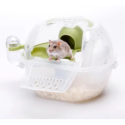 UAMLY Cage de transport portable pour hamster