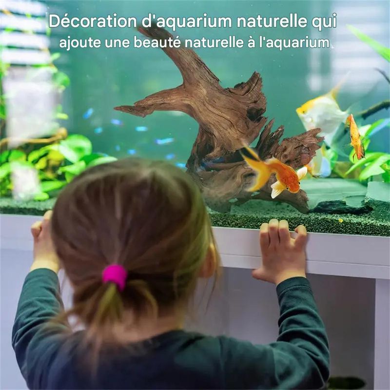IntiMeg Décoration d'aquarium