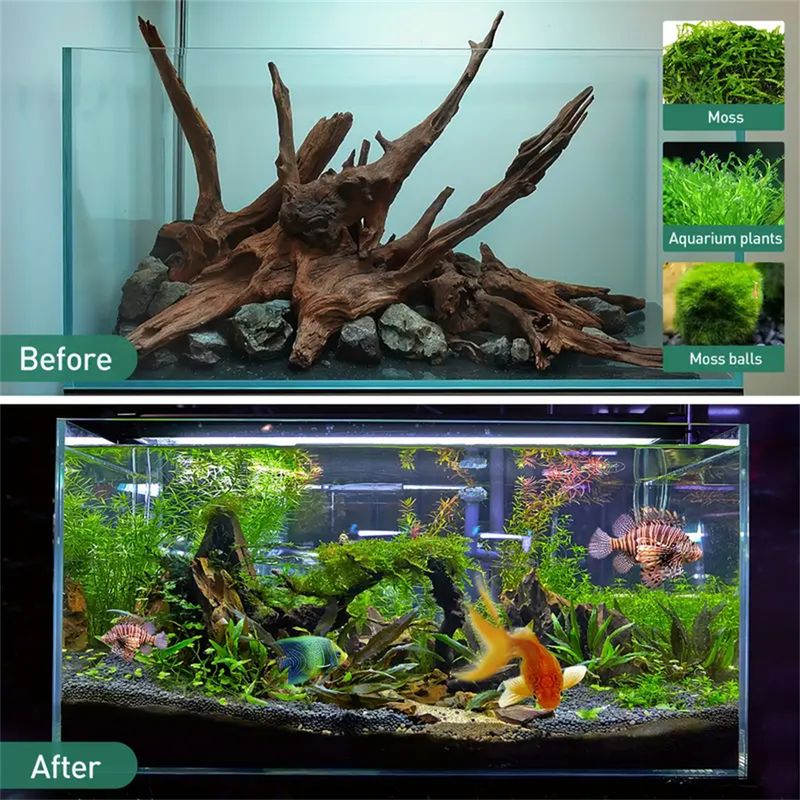 IntiMeg Décoration d'aquarium