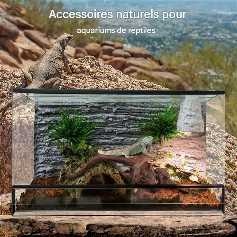 IntiMeg Décoration d'aquarium