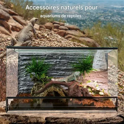 IntiMeg Décoration d'aquarium IntiMeg Décoration d'aquarium