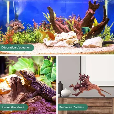 IntiMeg Décoration d'aquarium IntiMeg Décoration d'aquarium