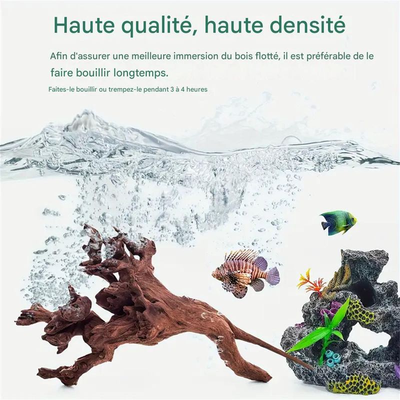 IntiMeg Décoration d'aquarium
