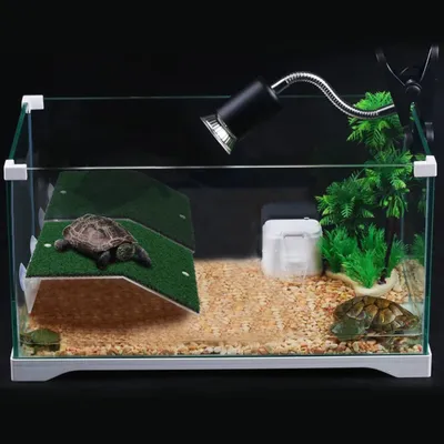 Plateforme de repos pour tortues