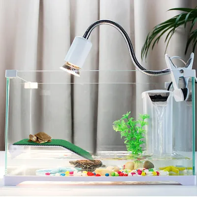 Plateforme de repos pour tortues