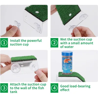 Plateforme de repos pour tortues