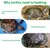 Plateforme de repos pour tortues Plateforme de repos pour tortues