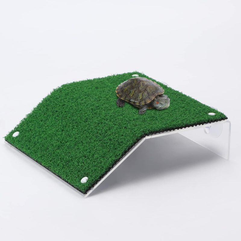 Plateforme de repos pour tortues