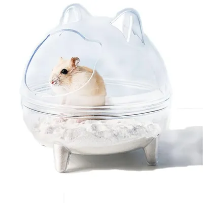 IntiMeg Chambre transparente pour cochon d'Inde IntiMeg Chambre transparente pour cochon d'Inde