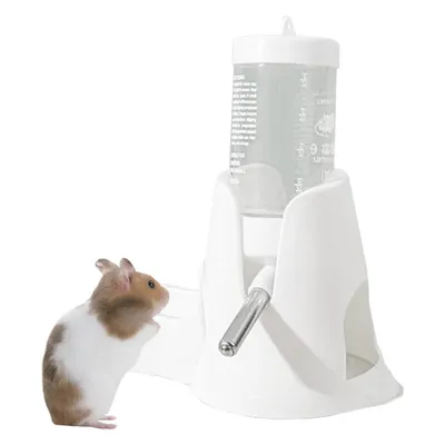 IntiMeg Fontaine à eau pour cochon d'Inde