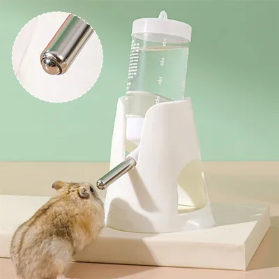 IntiMeg Fontaine à eau pour cochon d'Inde